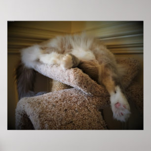 Affiche Jours Lents,