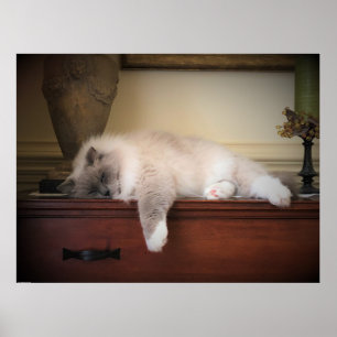 Affiche Jours Lents,