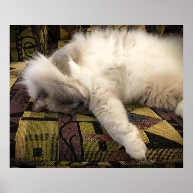 Affiche Jours Lents, (Devant)