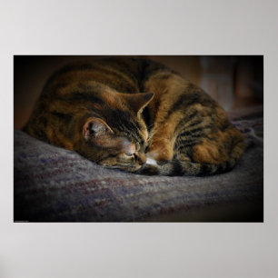 Affiche Jours Lents,