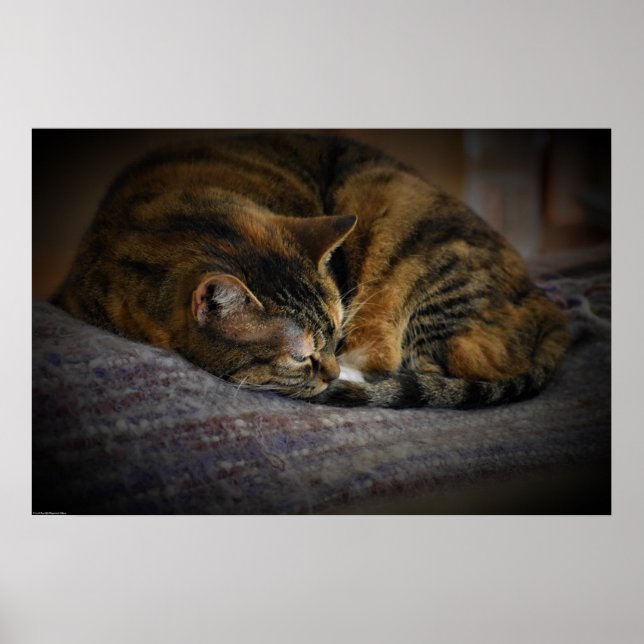 Affiche Jours Lents, (Devant)