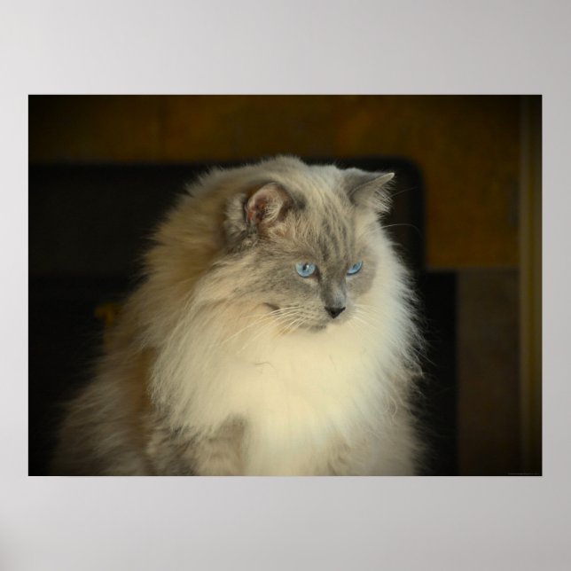 Affiche Jours Lents, (Devant)