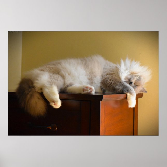 Affiche Jours Lents, (Devant)