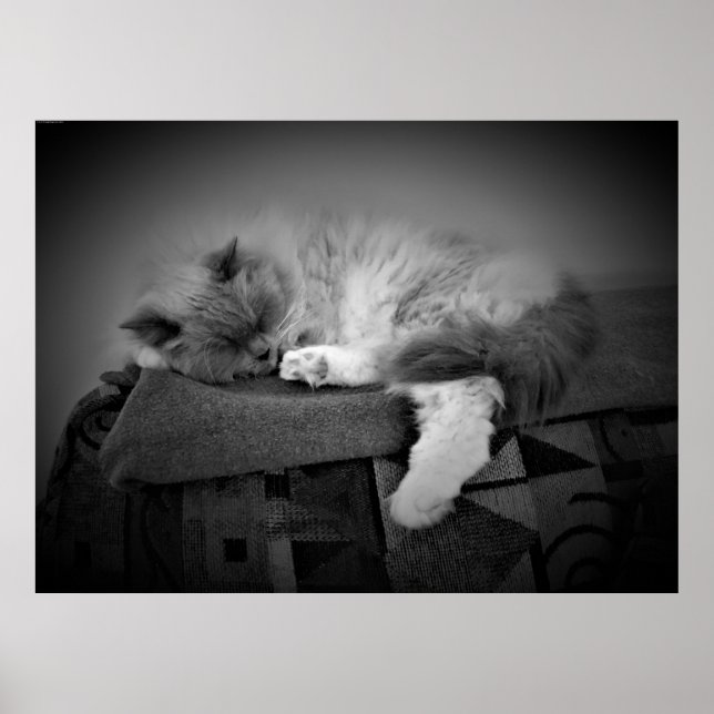 Affiche Jours Lents, (Devant)