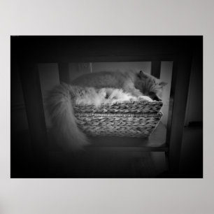 Affiche Jours Lents,