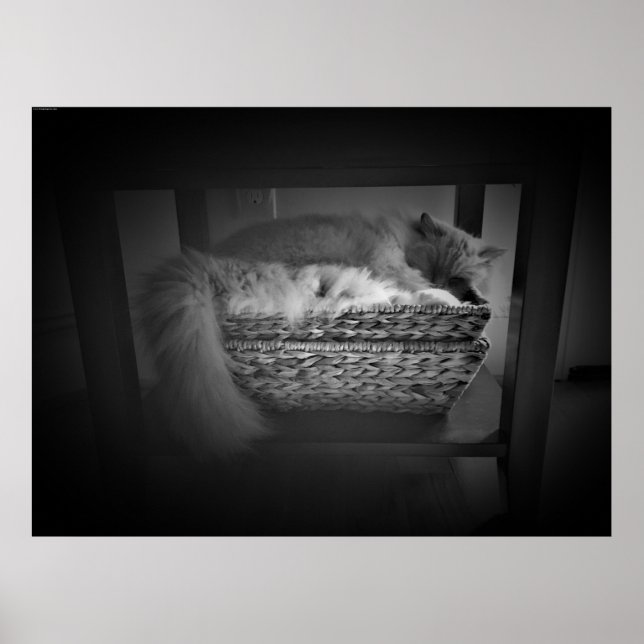 Affiche Jours Lents, (Devant)