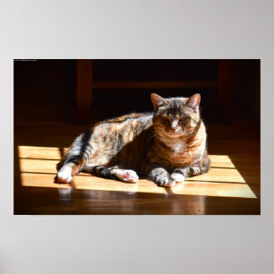 Affiche Jours Lents,