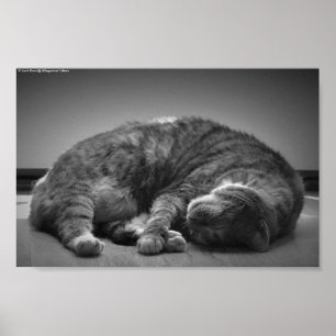 Affiche Jours Lents,