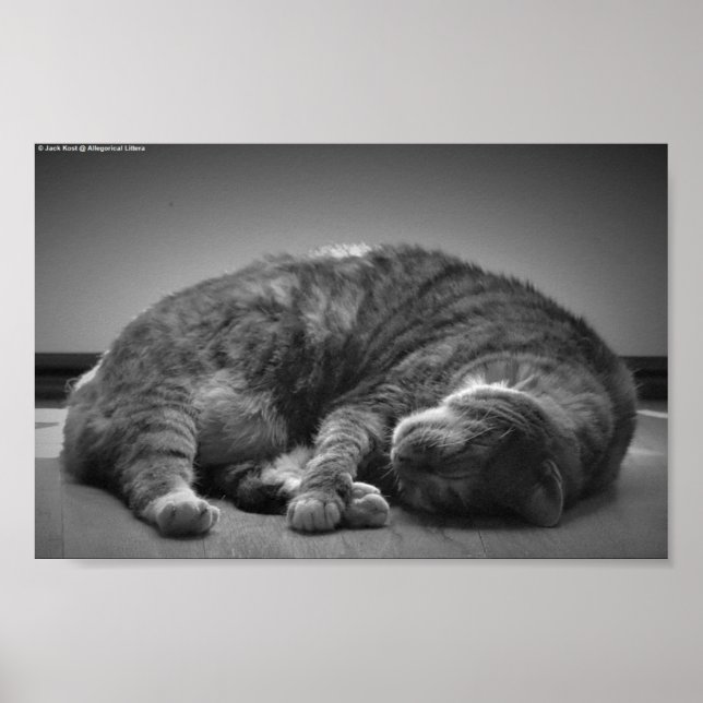 Affiche Jours Lents, (Devant)