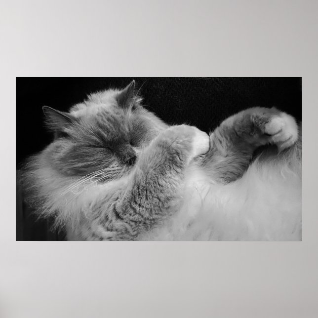 Affiche Jours Lents, (Devant)