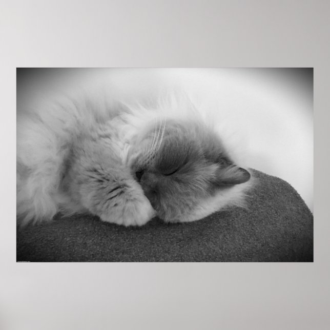 Affiche Jours Lents, (Devant)