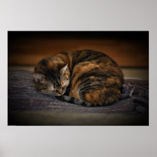 Affiche Jours Lents,