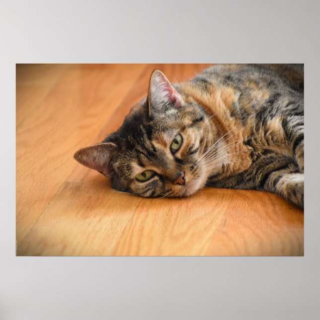 Affiche Jours Lents, (Devant)