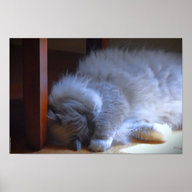 Affiche Jours Lents, (Devant)