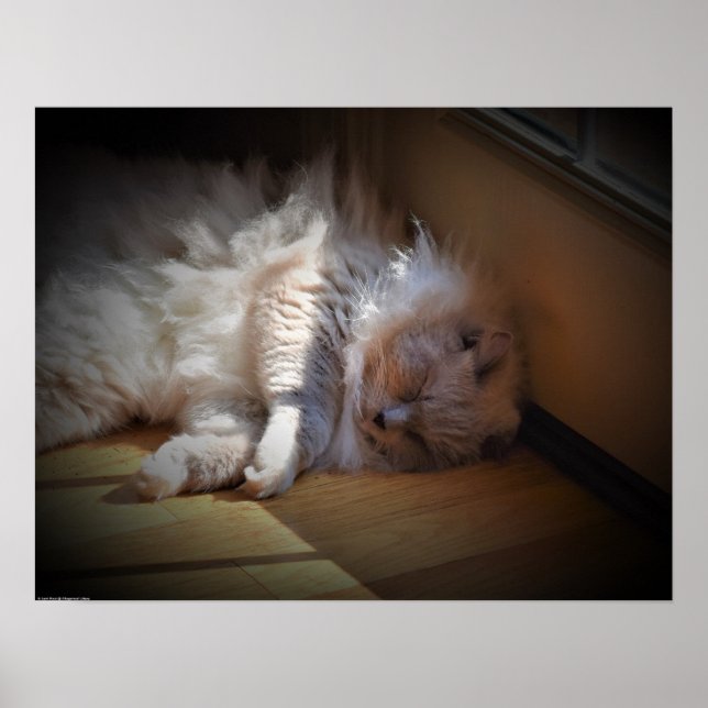 Affiche Jours Lents, (Devant)