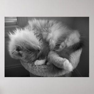 Affiche Jours Lents,