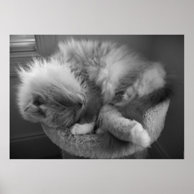 Affiche Jours Lents, (Devant)