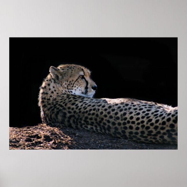 Affiche Jours paresseux (Devant)