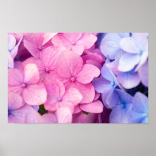 Affiche Jours pluvieux