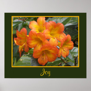 Affiche Joy Zen Méditation Orange Fleurs Modèles photo