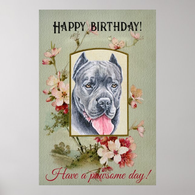 Affiche Joyeux anniversaire Salutations Cane corso (Devant)