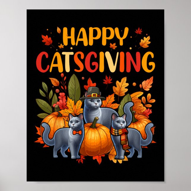 Affiche Joyeux chat de Thanksgiving Trois jolis chats bleu (Devant)