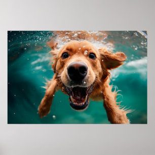 Affiche Joyeux Golden Retriever nager sous l'eau