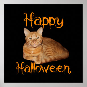 Affiche Joyeux Halloween non effrayant Tabby orange chat