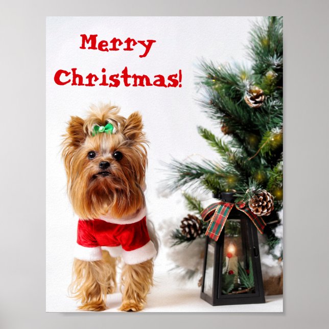 Affiche Joyeux Noël Père Noël Yorkie avec arbre de Noël (Devant)