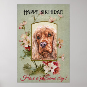Affiche Joyeux voeux d'anniversaire anglais cocker spaniel