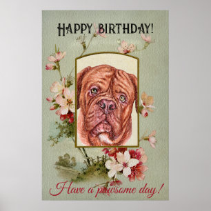 Affiche Joyeux voeux d'anniversaire Français mastiff