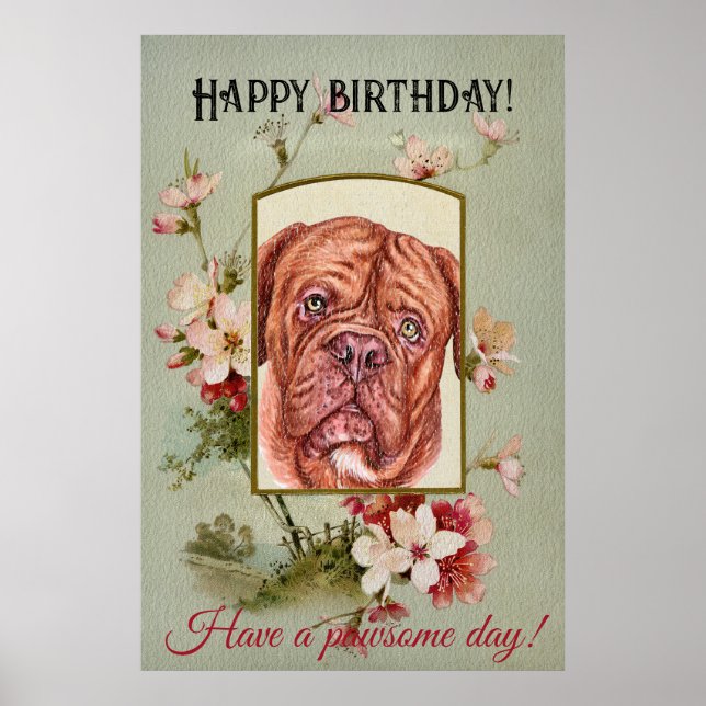 Affiche Joyeux voeux d'anniversaire Français mastiff (Devant)