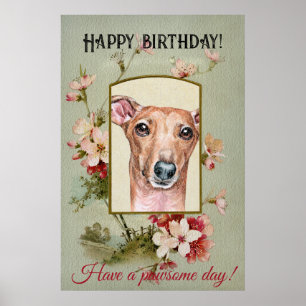 Affiche Joyeux voeux d'anniversaire italien Greyhound