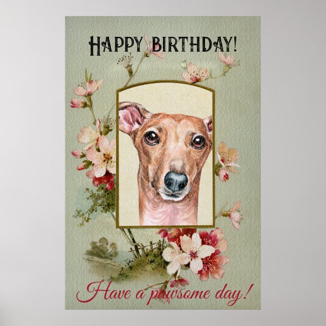 Affiche Joyeux voeux d'anniversaire italien Greyhound (Devant)