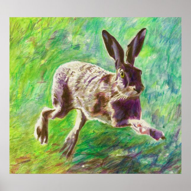 Affiche Joyful hare 2011 (Devant)