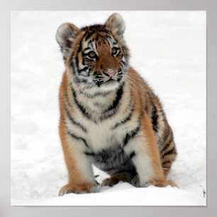 Affiche Jr. élégant