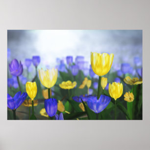 Affiche Jubilé d'or