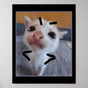 Affiche Jugement Kitty Funny Amoureux des chats Angry Kitt