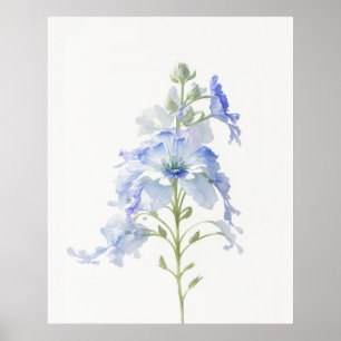 Affiche Juillet Fleur de naissance Delphinium