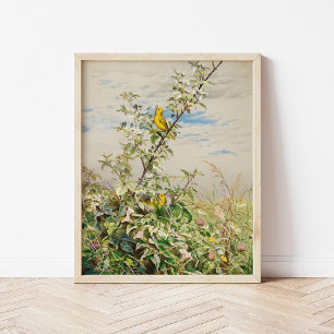 Affiche Juin   Ponts Fidelia