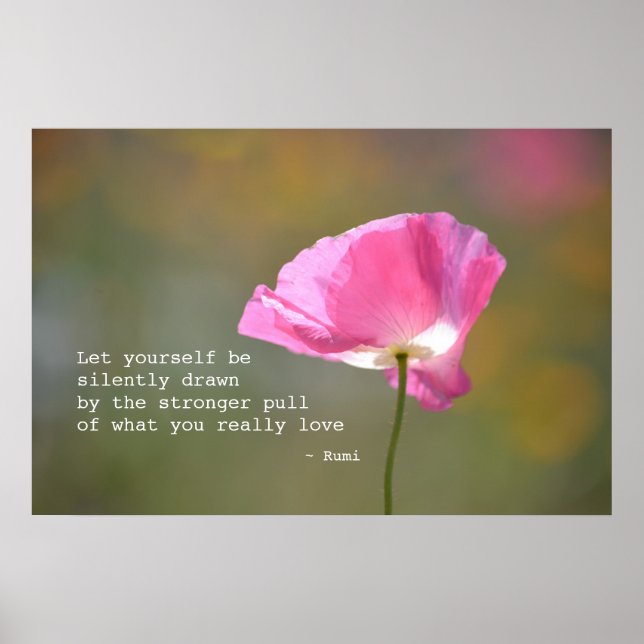 Affiche Juin Poppy (Devant)