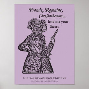 Affiche (Julius) Salade César