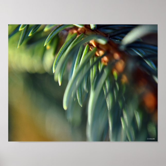 Affiche Jumeaux violets Framable Art Peinture-ETSY (Devant)