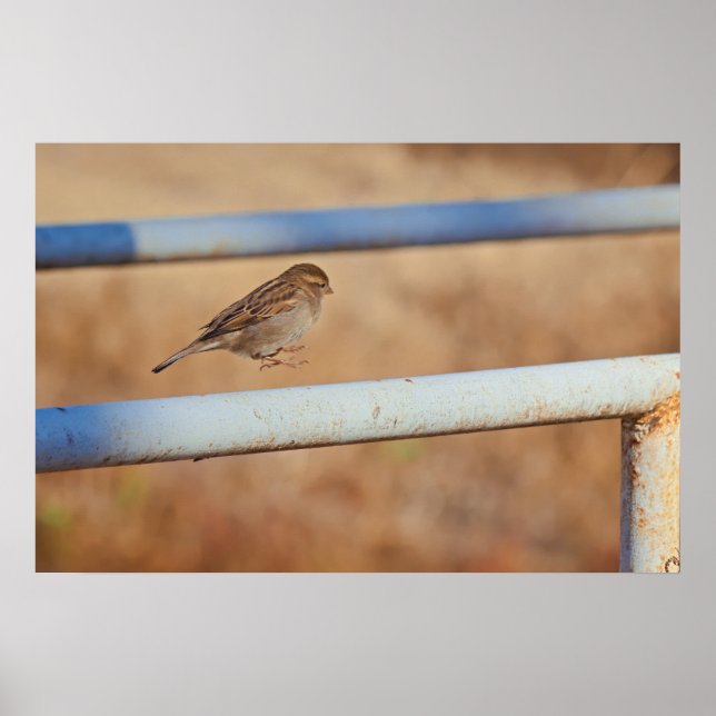 Affiche Jump (Devant)