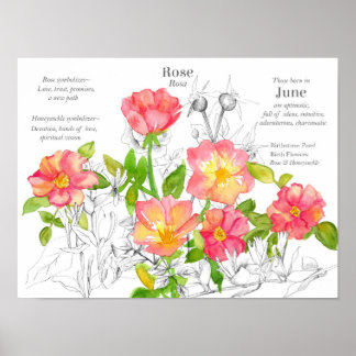 Affiche Jun Anniversaire Wild Roses Honeysuckle Fleurs
