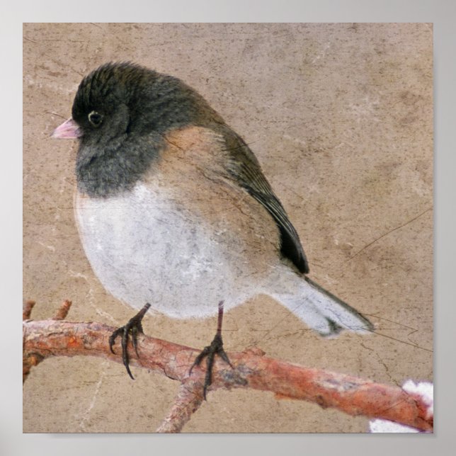 Affiche Junco (Devant)