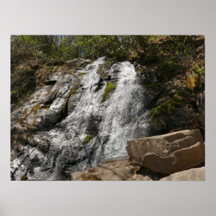 Affiche Juney Whank Falls dans les montagnes Smoky
