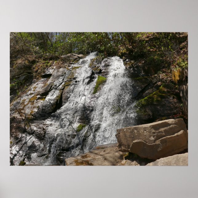 Affiche Juney Whank Falls dans les montagnes Smoky (Devant)