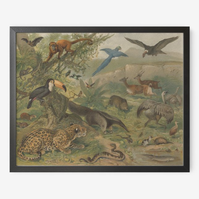 Affiche Jungle Jaguar et amis des animaux (Créateur téléchargé)