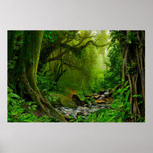 Affiche jungle népalaise avec rivière, forêt, sol, rivière